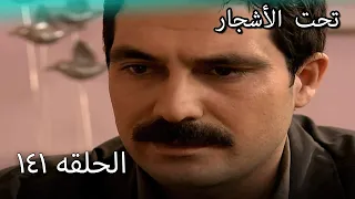 141 سنوات الضياع 