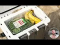 Download Lagu Small Coolers + Lunchbox Coolers (Pelican vs. Yeti vs. Igloo) - TRAVELPREP