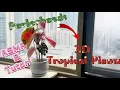 ASMR Perler Beads Turn Flat Beads Into 3D Tropical Plants Super Satisfying