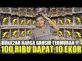 Download Lagu EDAN ! TERNYATA INI RAHASIA PASAR !!! SPILL HARGA GROSIR BURUNG PALING MURAH DIKIOS PASAR PRAMUKA