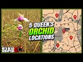 RDR2 Queen s Orchid Locations - FAST EASY Guide Duchesses Other Animals Guide