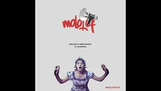 Molotof X Reem Khairy EL MAGNONA المجنونة Official Audio 