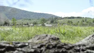 Українська весільна пісня Іванку Іванку 