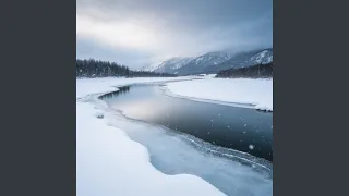 سکه ترحم توریست اوتاتارا دندنها