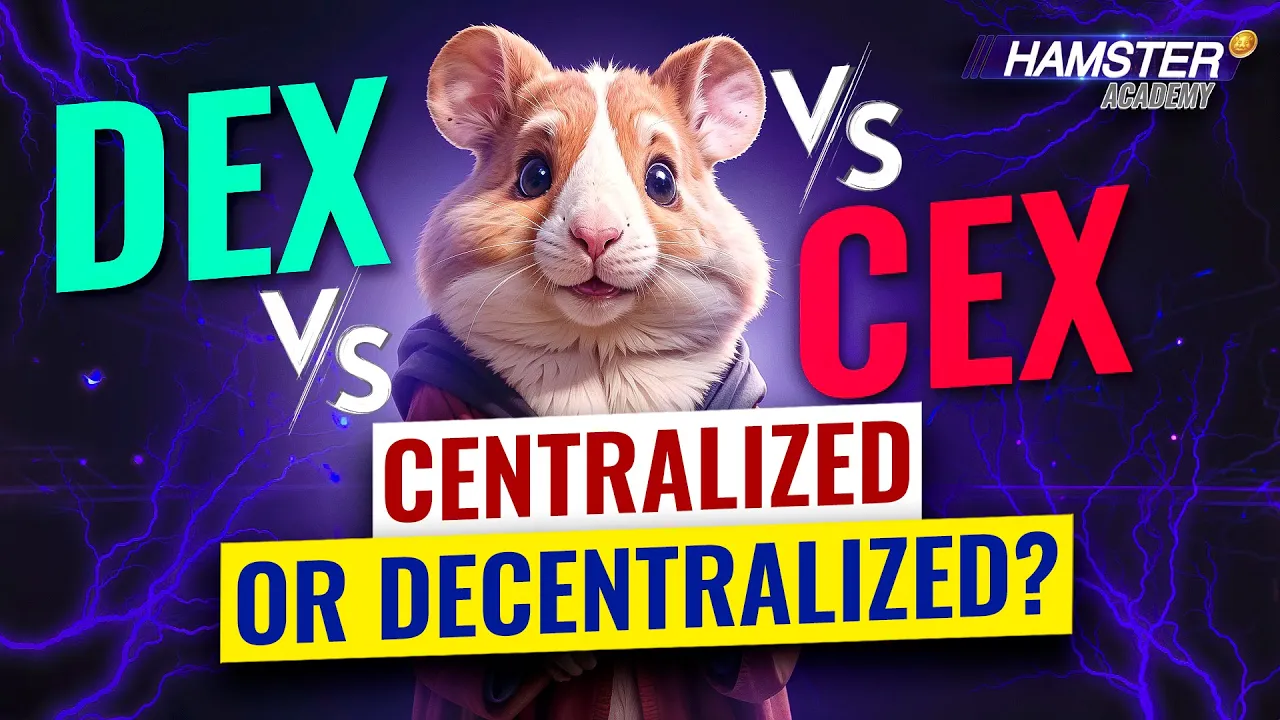 CEX vs DEX: Which one is better? | Ebi.xyz explained ⚡️ Hamster Academy