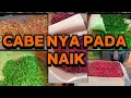 Lagu Untuk hari ini cabe nya naik mulai dari rawit caplak panjang dan ori