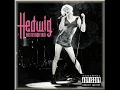 The Origin Of Love / Hedwig Original Cast Recording