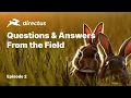 From the Field Q A with P J - Maintenance Windows Adding Languages Real-time Updates