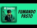 Download Lagu FUMANDO PASTO - DJ WARNER