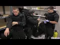 Arresting belle Delphine