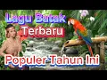 Download Lagu Lagu Batak Terbaru Populer Tahun Ini