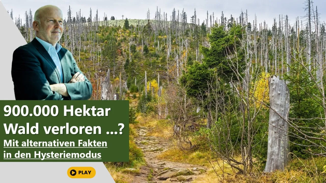 900.000 Hektar Wald verloren ...? Mit alternativen Fakten in den Klimahysterie-Modus