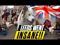 Lagu I Took My Husky to Leeds and People LOST THEIR MINDS!! 🐶🔥