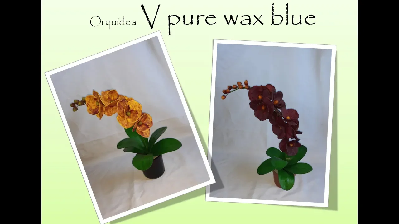 DIY PASSO A PASSO ORQUIDEA V PURE WAX BLUE