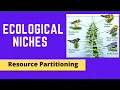 FUNDAMENTAL AND REALIZED NICHES COMPETITIVE EXCLUSION RESOURCE PARTITIONING