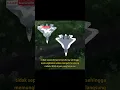 Download Lagu Mengapa Pesawat Tempur Siluman Su-57 “Melolong” Begitu Keras? #shorts