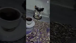 مبسوط يا اسامه    دندنها