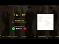 SUD - Baliw (Official Audio)