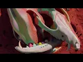 Flume - Rushing Back feat. Vera Blue