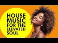 🇬🇧 Mark Knight, Mighty Dub Katz, James Hurr - Mark & James' Groove (Original Mix)