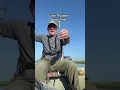 Download Lagu GEHEIME TIP VOOR HET VISSEN OP BOTBOL/VANG ELKE KEER BOTBOL!