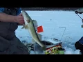 JT Walleye Box