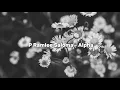 Download Lagu P RAMLEE SALOMA - ALPHA (LIRIK)