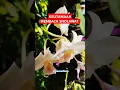 Download Lagu KEUTAMAAN MEMBACA SHOLAWAT #shorts #shortsviral #shortsfeed #shortvideo #fyp #fypシ゚viral #sholawat