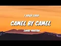Download Lagu Sandy Marton - Camel by Camel (1 HOUR LOOP)