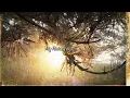Download Lagu gavn! - Love Me 'Til You Leave Me (Official Lyric Video)