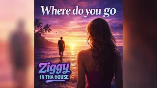 Where Do You Go - cover Ziggy in tha House 2026