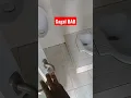 Download Lagu GaGaL BeRaK #shorts #memes #shortvideo #viral #tiktok