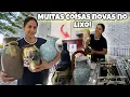 Download Lagu Muitas coisas novas no lixo dos Estados Unidos!😱🇺🇸
