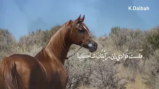 ك فى ب ك داء أ ن ت رى الم وت شاف يا للمتنبي بصوت خالد دلبح 