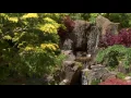 Water Fall Gif Beautiful Punajbi