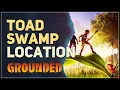 Toad Swamp Location Grounded