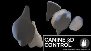 Canine 3D Control Essential Biomechanics