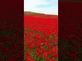 Download Lagu Surah Al - Humazah | Beautiful Recitation by Abdur Rahman Al Saudis |Quran Tilawat  | #humazah