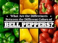 Bell Peppers Green Yellow Orange and Red Bell peppers What are the differences