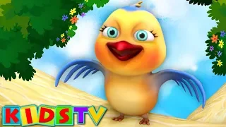 Chidiya Rani Badi Sayani | चिड़िया रानी | Hindi Poems For Babies