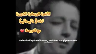 الأغنية الرومانية الشهيرة ترند يالي يالي ترجمة أغنية يالي يالي ترند يالي يالي 