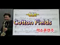 Download Lagu *Cotton Fields*(C.C.R)#송형섭색소폰경음악연주.활기찬주말되세요.