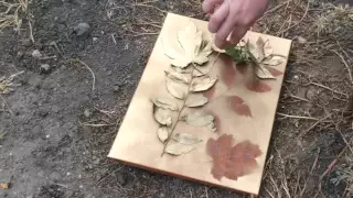 The Crafting Coach make a fall leaf silhouette