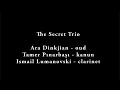 Download Lagu The Secret Trio - Sarı Gelin / Agir Ketiye Dile Min
