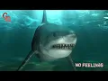 Shy Glizzy & Glizzy Gang - No Feelings [Official Audio]