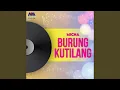 Download Lagu Burung Kutilang