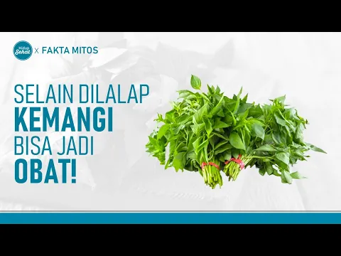 Tak Sekedar Lalapan, Ini Manfaat Daun Kemangi Untuk Kesehatan