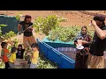 Download Lagu Milking cows and building a roof for a nomadic house in the mountains