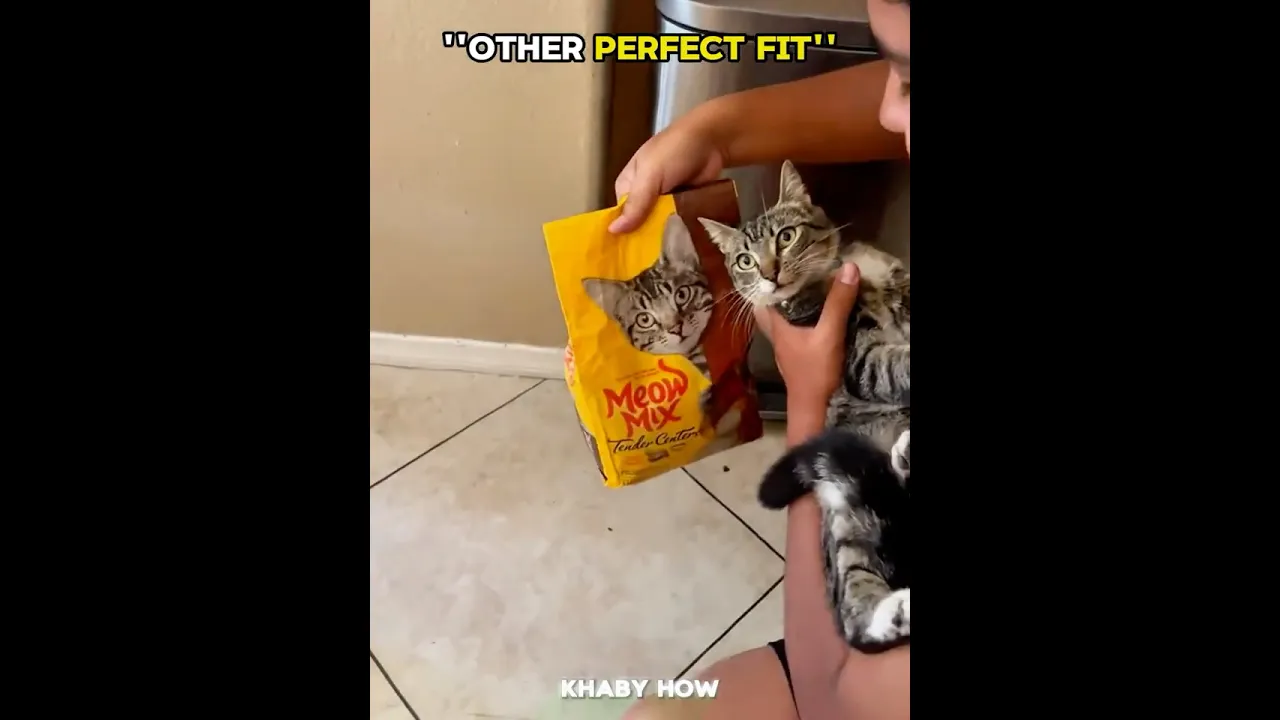 Perfect Fit Is Coming.