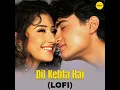 Dil Kehta Hai - LO-FI